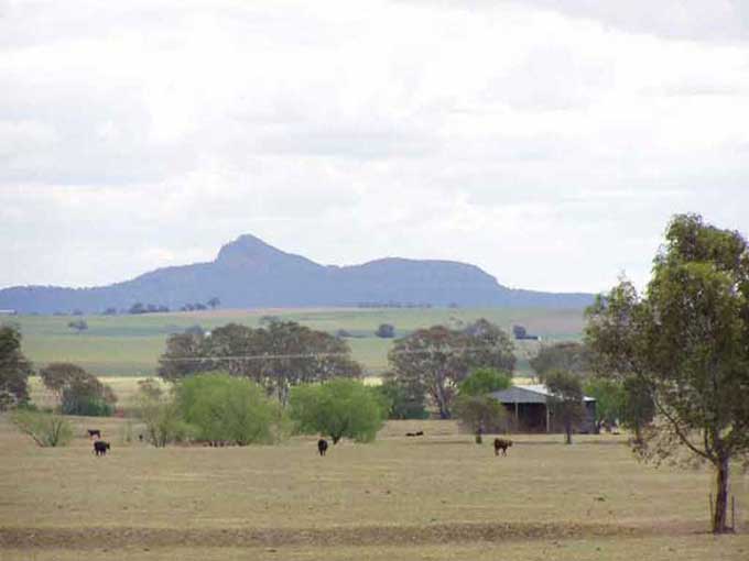 Mangoplah The Rock View